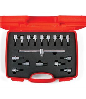İzeltaş 1113 Lokmalı Allen Uç ve Star Torx Uç Takımı 17 parça - 1113006017
