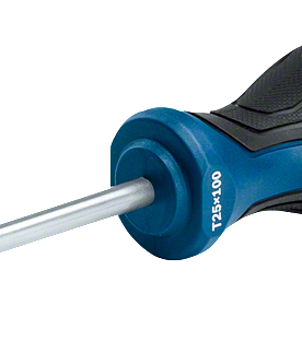Bosch Profesyonel Torx Tornavida Tx 25x100 - 1600A01V0D