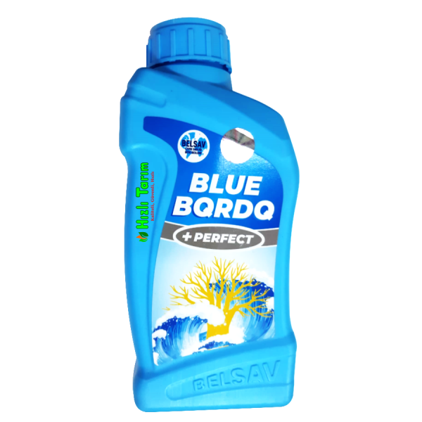 blue2-600x600 blue2-600x600